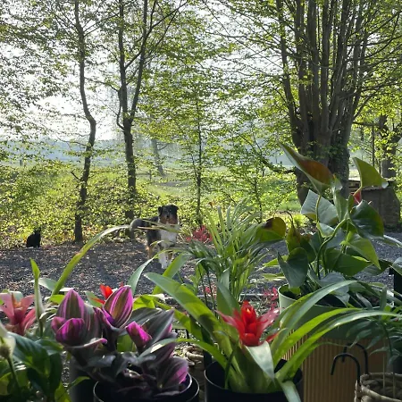 Duplex 4 Personnes Διαμέρισμα